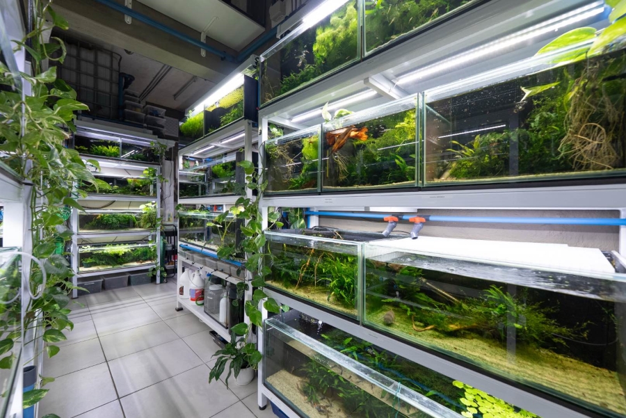 2 Bedroom Property for Sale in Tamboerskloof Western Cape